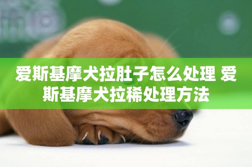 愛斯基摩犬拉肚子怎么處理 愛斯基摩犬拉稀處理方法