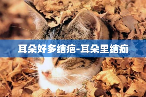 耳朵好多結疤-耳朵里結痂