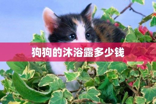 狗狗的沐浴露多少錢