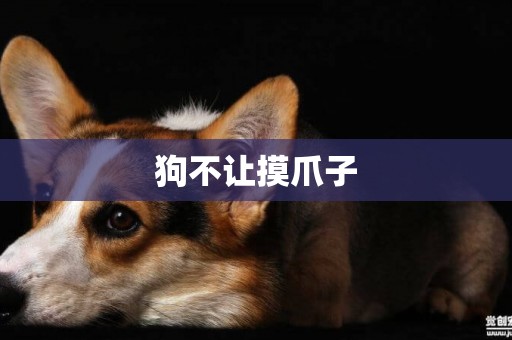 狗不讓摸爪子