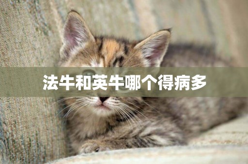 法牛和英牛哪個得病多