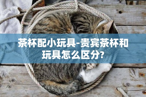 茶杯配小玩具-貴賓茶杯和玩具怎么區分?