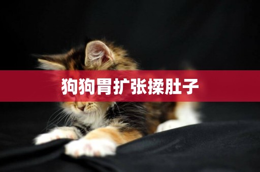 狗狗胃擴張揉肚子