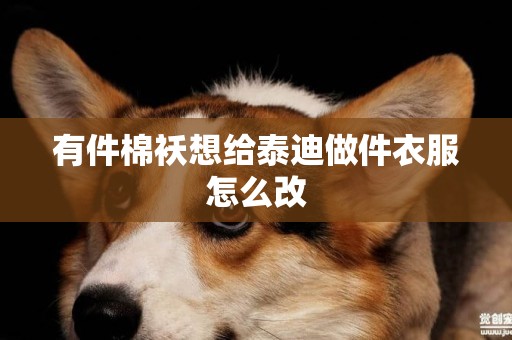 有件棉襖想給泰迪做件衣服怎么改