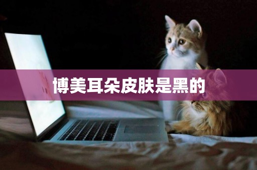 博美耳朵皮膚是黑的