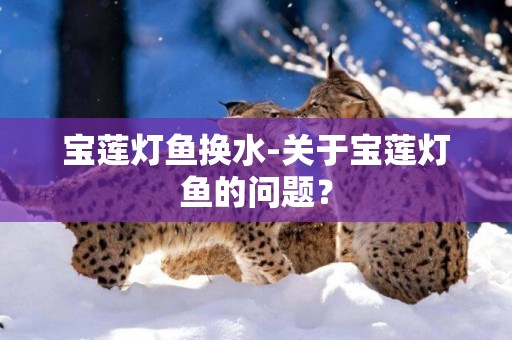 寶蓮燈魚換水-關于寶蓮燈魚的問題？