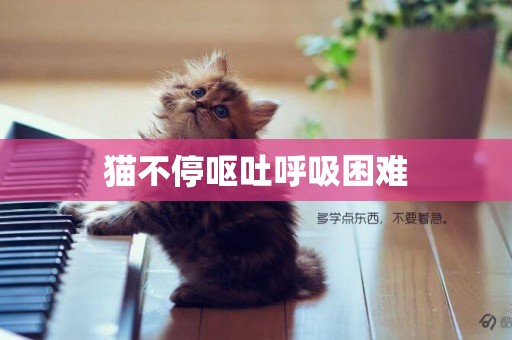 貓不停嘔吐呼吸困難