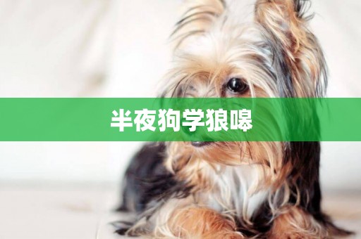 半夜狗學狼嗥