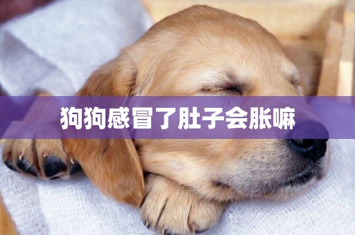 狗狗感冒了肚子會脹嘛