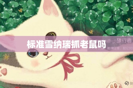標準雪納瑞抓老鼠嗎