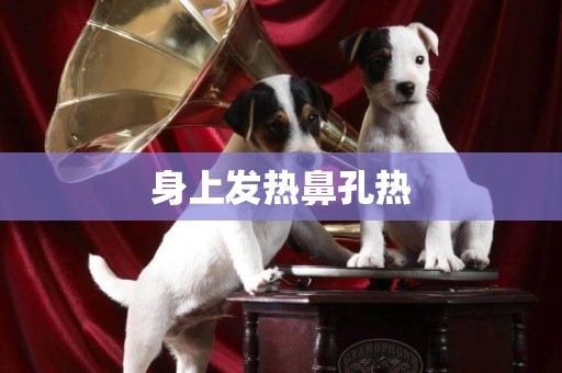 身上發熱鼻孔熱