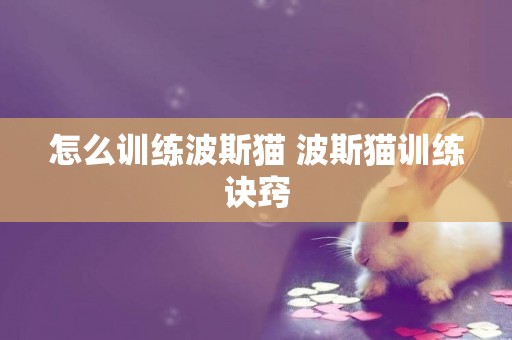 怎么訓練波斯貓 波斯貓訓練訣竅