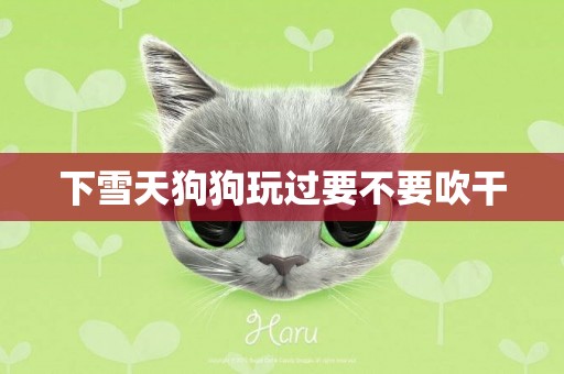 下雪天狗狗玩過要不要吹干