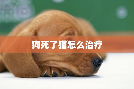 狗死了貓怎么治療