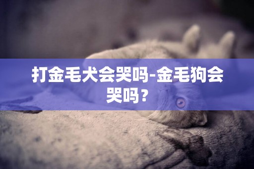 打金毛犬會哭嗎-金毛狗會哭嗎？