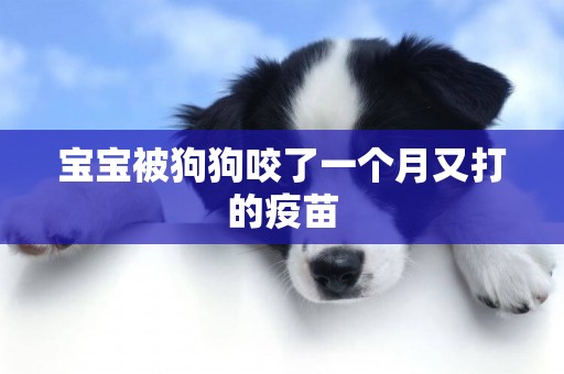 寶寶被狗狗咬了一個月又打的疫苗