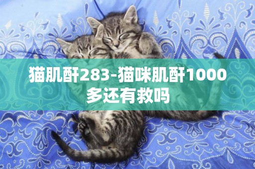 貓肌酐283-貓咪肌酐1000多還有救嗎
