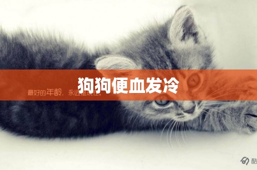 狗狗便血發冷