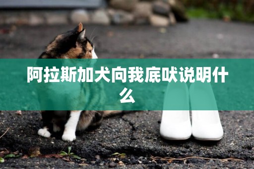 阿拉斯加犬向我底吠說明什么