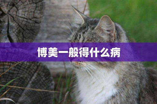 博美一般得什么病