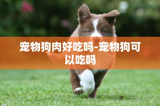 寵物狗肉好吃嗎-寵物狗可以吃嗎