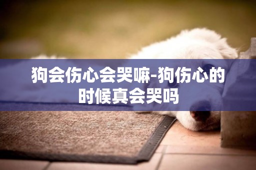 狗會傷心會哭嘛-狗傷心的時候真會哭嗎
