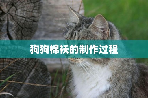 狗狗棉襖的制作過程