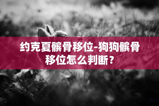 約克夏髕骨移位-狗狗髕骨移位怎么判斷？