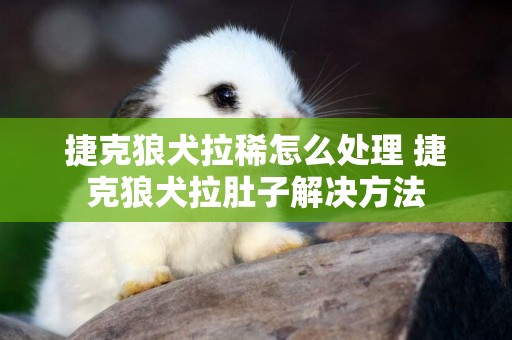 捷克狼犬拉稀怎么處理 捷克狼犬拉肚子解決方法