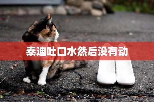 泰迪吐口水然后沒有動