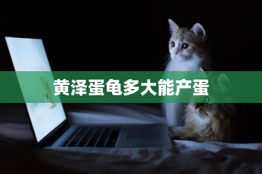 黃澤蛋龜多大能產蛋