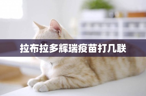 拉布拉多輝瑞疫苗打幾聯