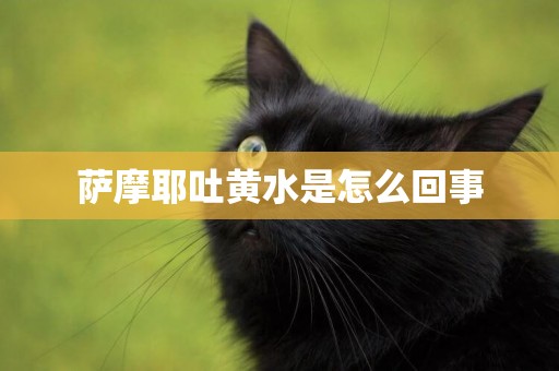 薩摩耶吐黃水是怎么回事