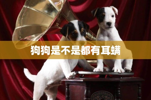 狗狗是不是都有耳螨