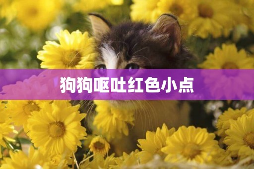 狗狗嘔吐紅色小點