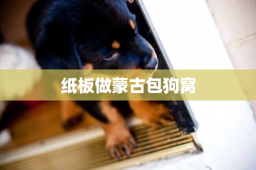 紙板做蒙古包狗窩