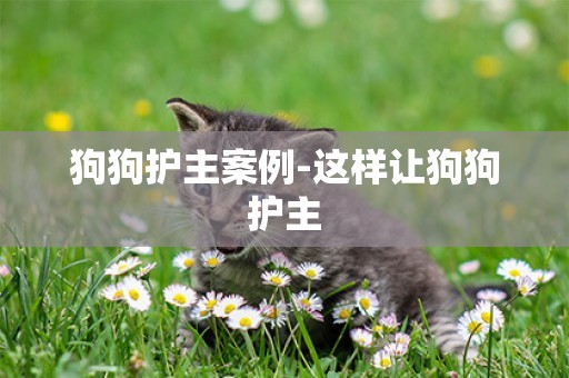 狗狗護主案例-這樣讓狗狗護主
