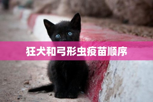 狂犬和弓形蟲疫苗順序