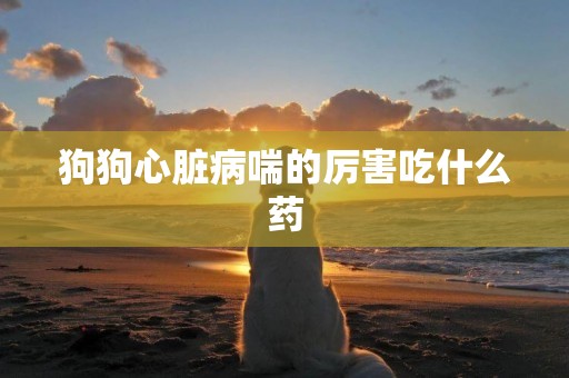 狗狗心臟病喘的厲害吃什么藥