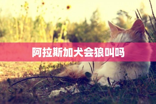 阿拉斯加犬會狼叫嗎