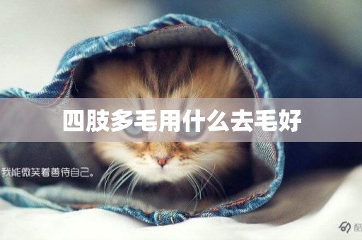 四肢多毛用什么去毛好