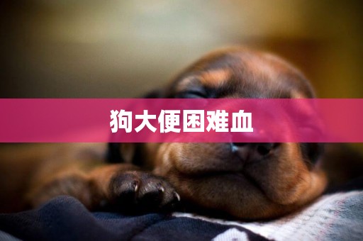 狗大便困難血