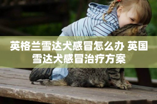 英格蘭雪達犬感冒怎么辦 英國雪達犬感冒治療方案