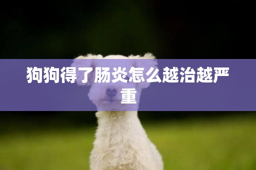 狗狗得了腸炎怎么越治越嚴重
