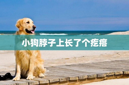 小狗脖子上長了個疙瘩