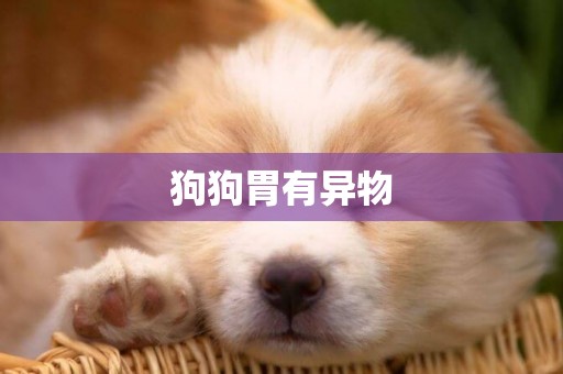 狗狗胃有異物