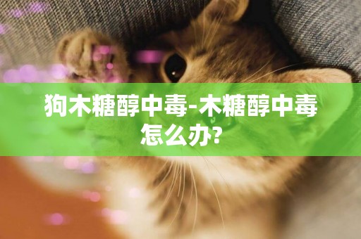 狗木糖醇中毒-木糖醇中毒怎么辦?