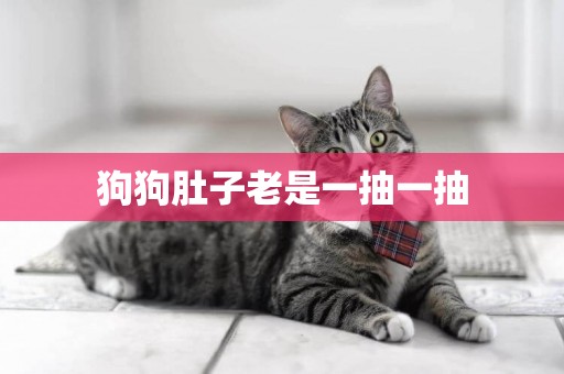 狗狗肚子老是一抽一抽