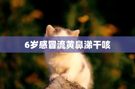 6歲感冒流黃鼻涕干咳