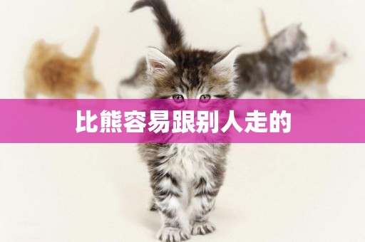 比熊容易跟別人走的